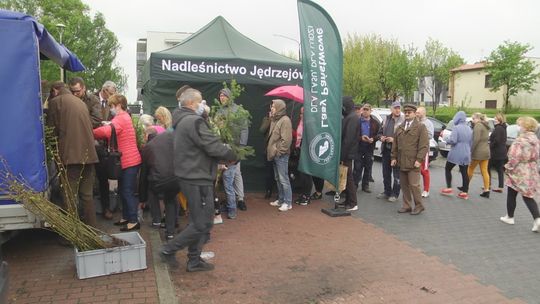 Zasadź drzewo. Pozostaw po sobie ślad! Rozdawali sadzonki na jubileusz miasta