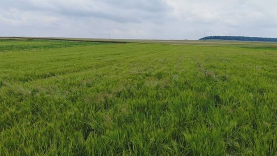 Zatrzymaj w kadrze magię Ponidzia i weź udział w konkursie fotograficznym