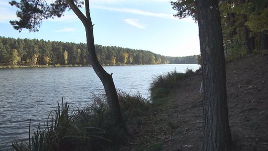 Ze Stokowca na Rejów ścieżką rowerową? 