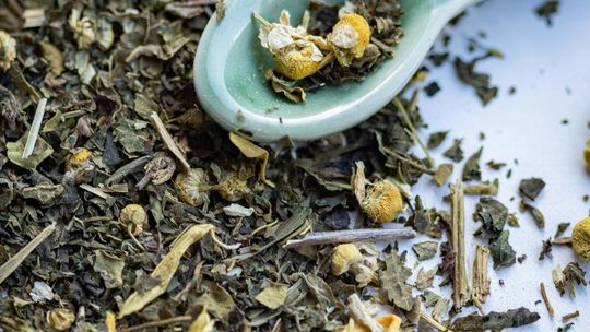 Zioła na boreliozę – czy mogą wspierać organizm i w jakich sytuacjach mają sens