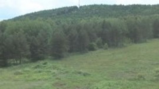 Zmiany w planie zagospodarowania w związku z budową laboratoriów GUM