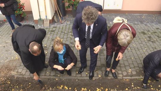 Żonkilowa akcja zainaugurowana