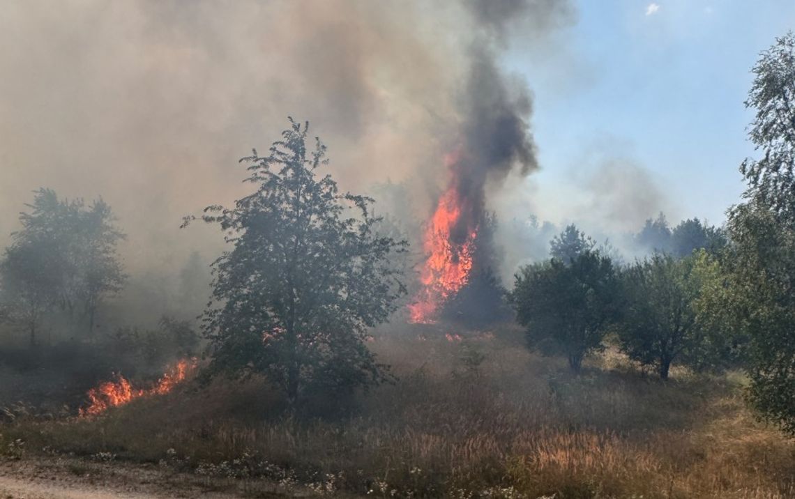 13 ha lasów i nieużytków spłonęło w powiecie jędrzejowskim