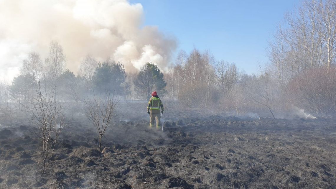 13 interwencji straży w ciągu jednego dnia