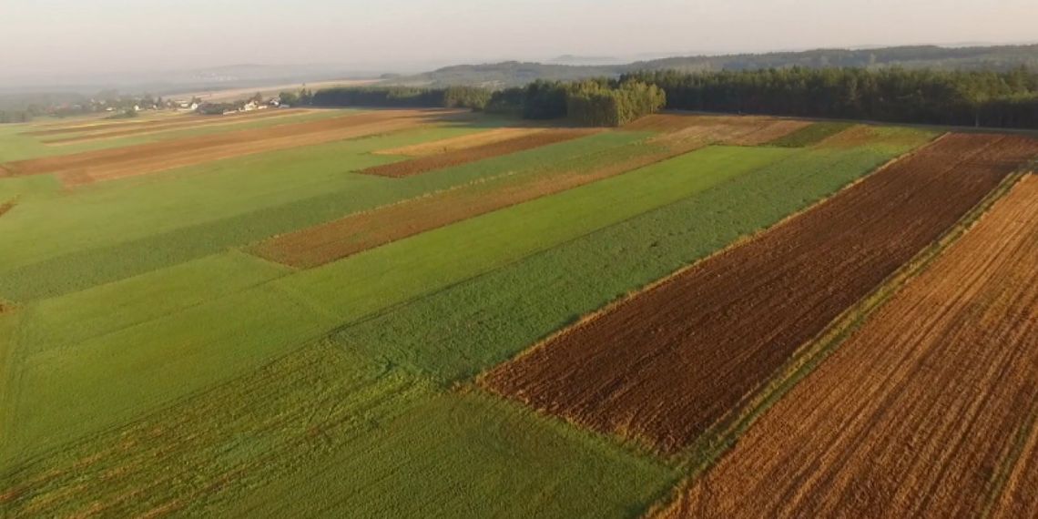 150 tys. zł premii dla młodego rolnika. Wnioski od 3 czerwca