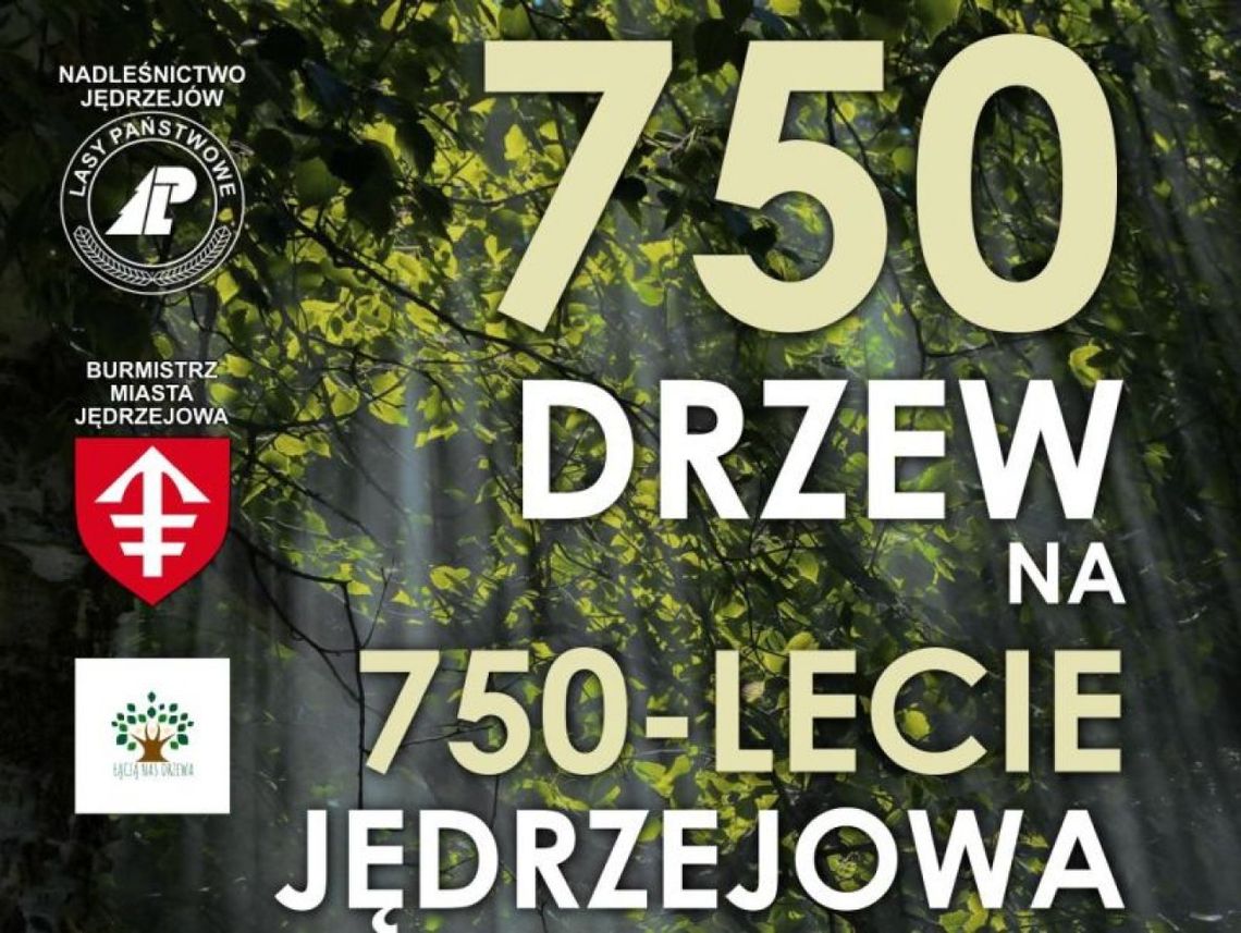 750 drzew na 750 lecie Jędrzejowa