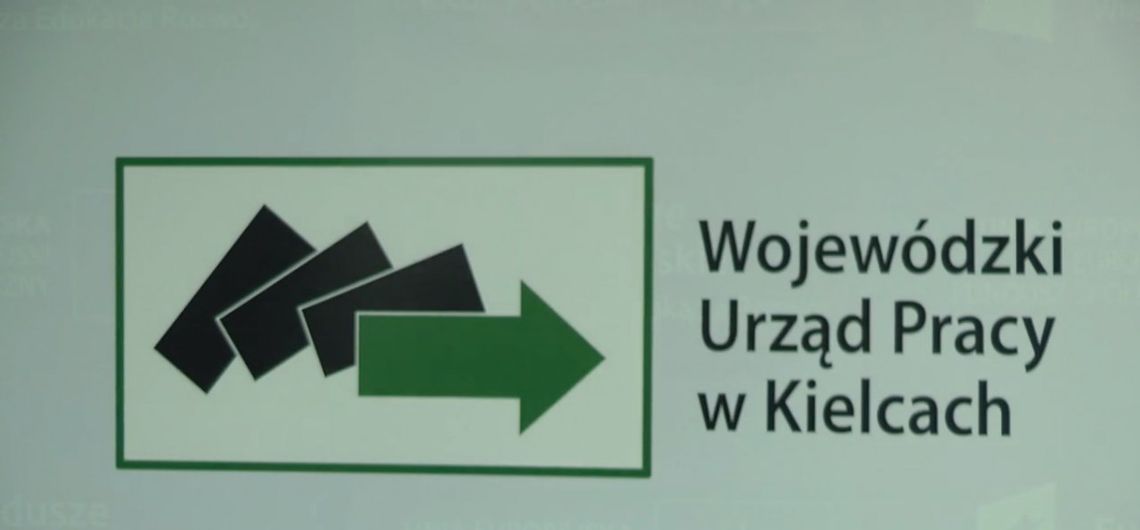 Aleksandra Marcinkowska została dyrektorem Wojewódzkiego Urzędu Pracy w Kielcach