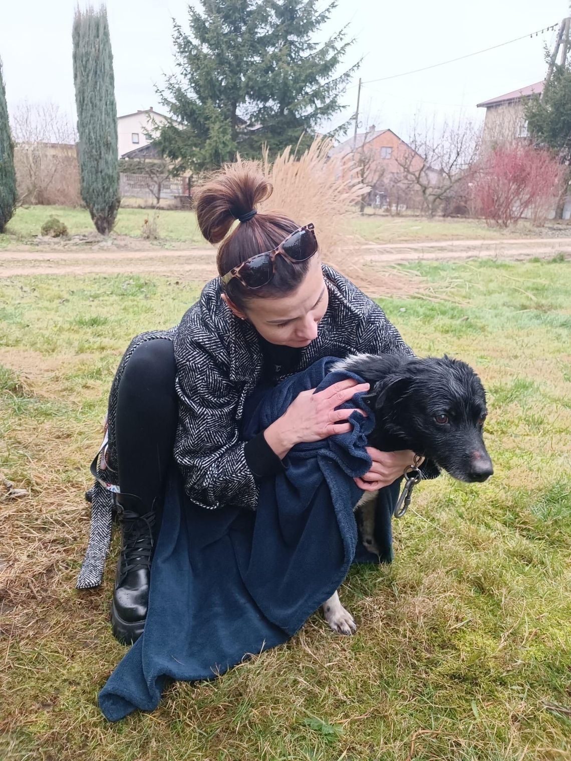 Azorek już ocalony!