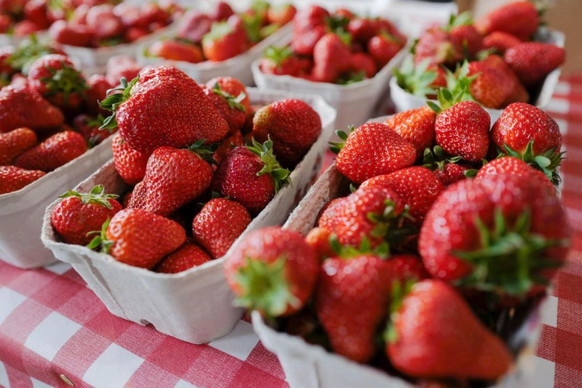 Bronisze: zimna wiosna, opóźnienia w dojrzewaniu warzyw i truskawek