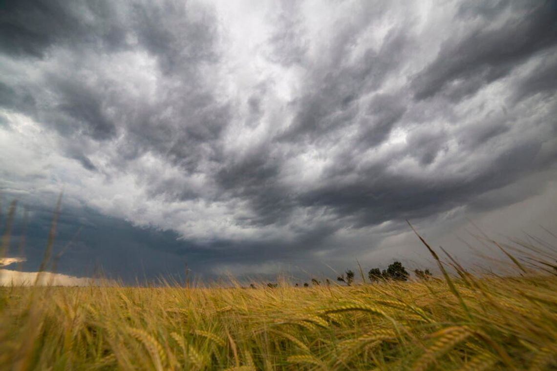 Burze w całym kraju; alert RCB ostrzegający przed intensywnym deszczem Burze w całym kraju; alert RCB ostrzegający przed intensywnym deszczem