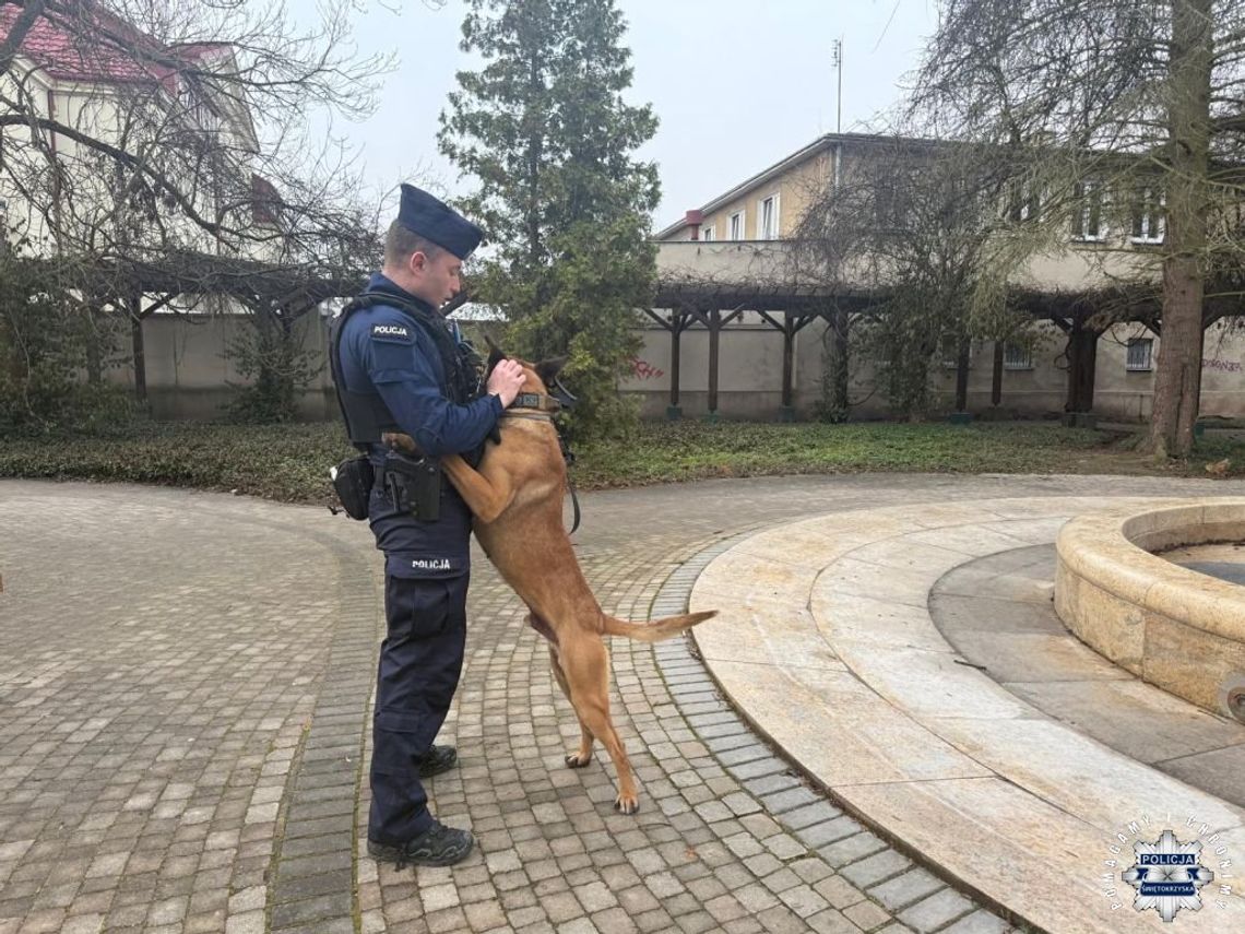 Czworonogi w policji