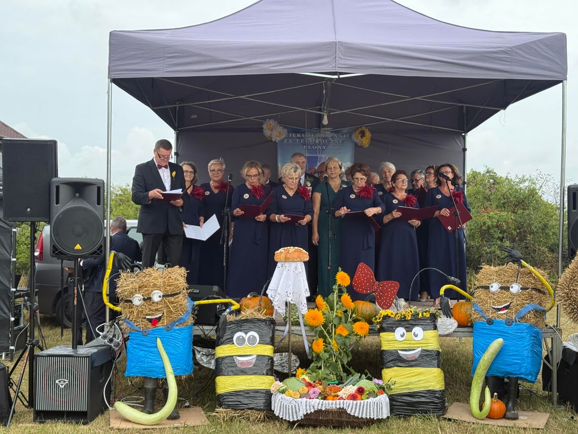 Dożynki Parafialne w Domaszowicach - tradycja i wdzięczność za plony