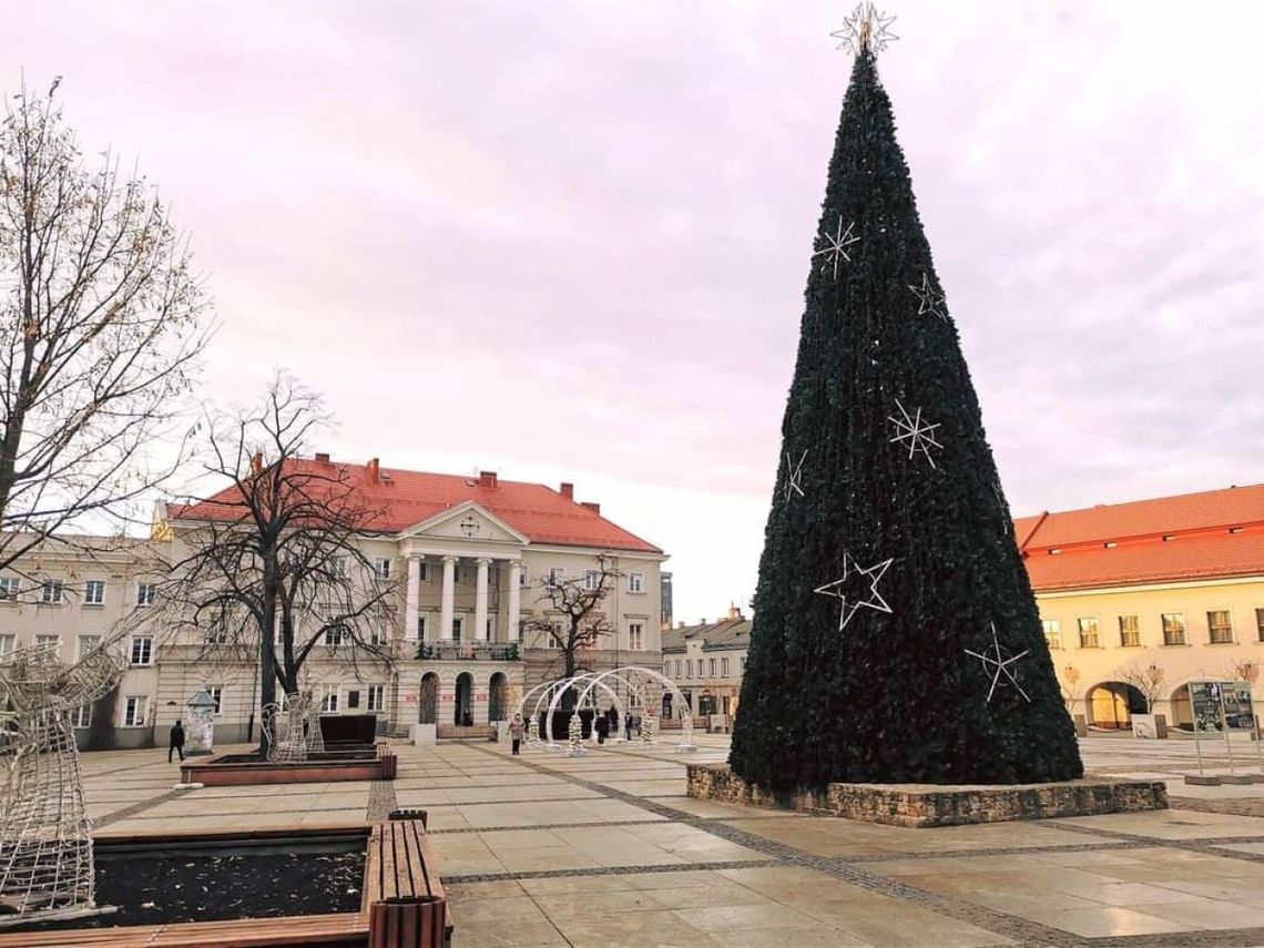 Dziś choinka na kieleckim rynku będzie rozświetlona 