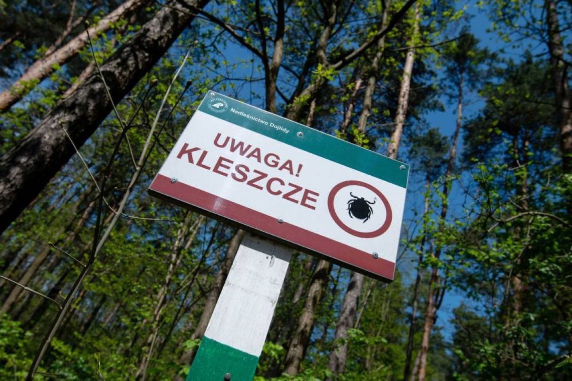 Ekspert: kleszcze przenoszą groźne choroby; warto stosować profilaktykę