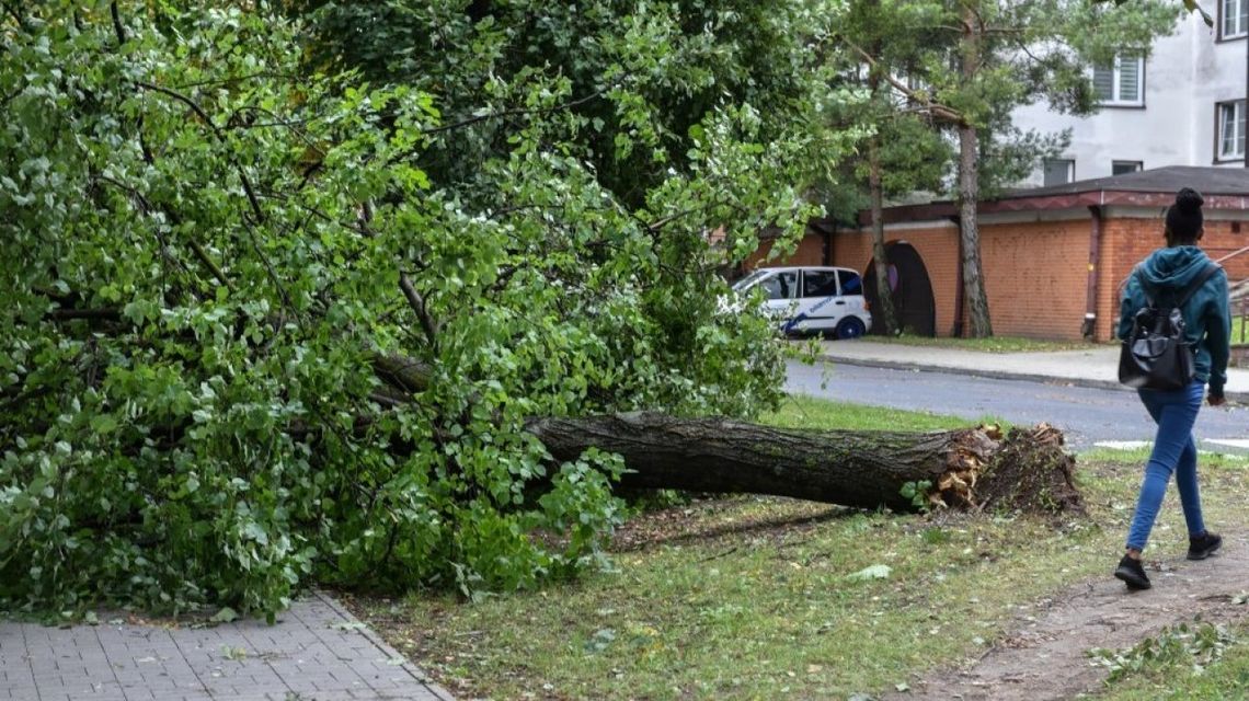 IMGW: burze, deszcz i silny wiatr na północy kraju; będzie nieco cieplej