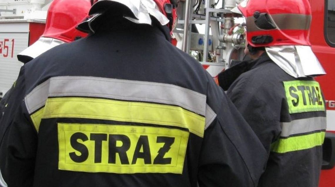 Inauguracja szczepień służb mundurowych; pierwsze dawki otrzymają komendanci Inauguracja szczepień służb mundurowych; pierwsze dawki otrzymają komendanci