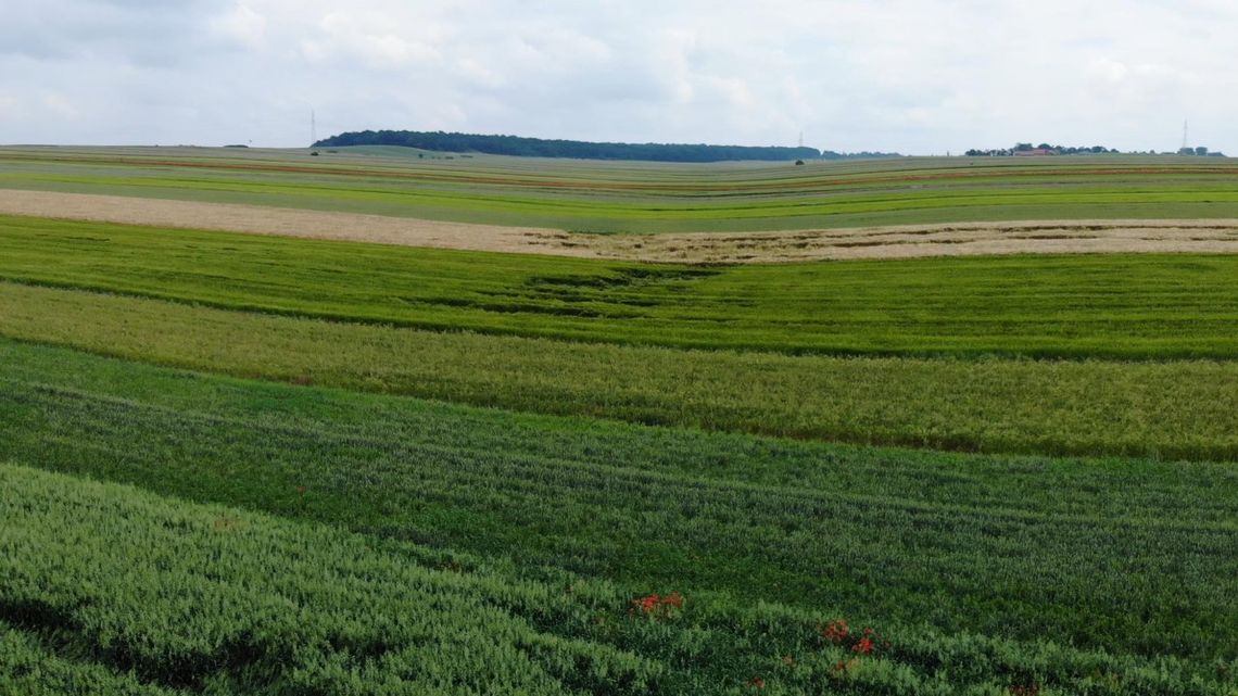 "Krajobraz niepokorny" – wernisaż wystawy