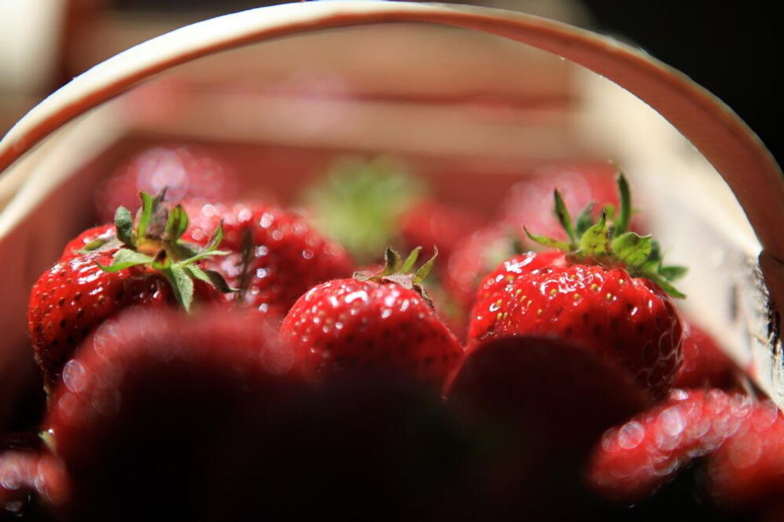 Krajowe truskawki już w sprzedaży, ale są drogie Krajowe truskawki już w sprzedaży, ale są drogie