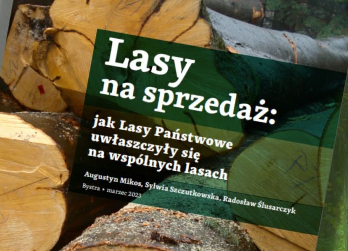 Lasy na sprzedaż – jak Lasy Państwowe uwłaszczyły się na wspólnych lasach