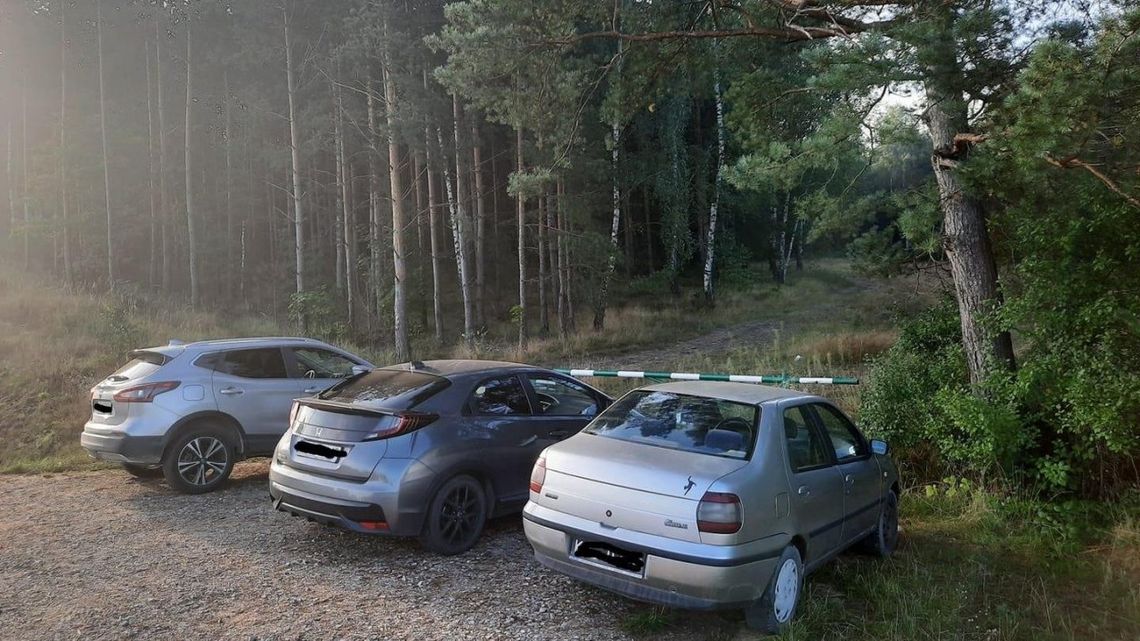 Lasy Państwowe w Radomiu podsumowują akcję „Jesień 2021”