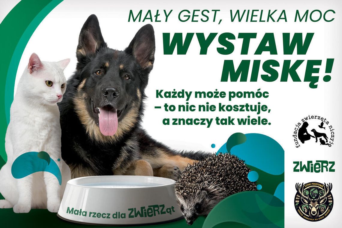Mały gest, wielka moc - wystaw miskę! Mały gest, wielka moc - wystaw miskę!