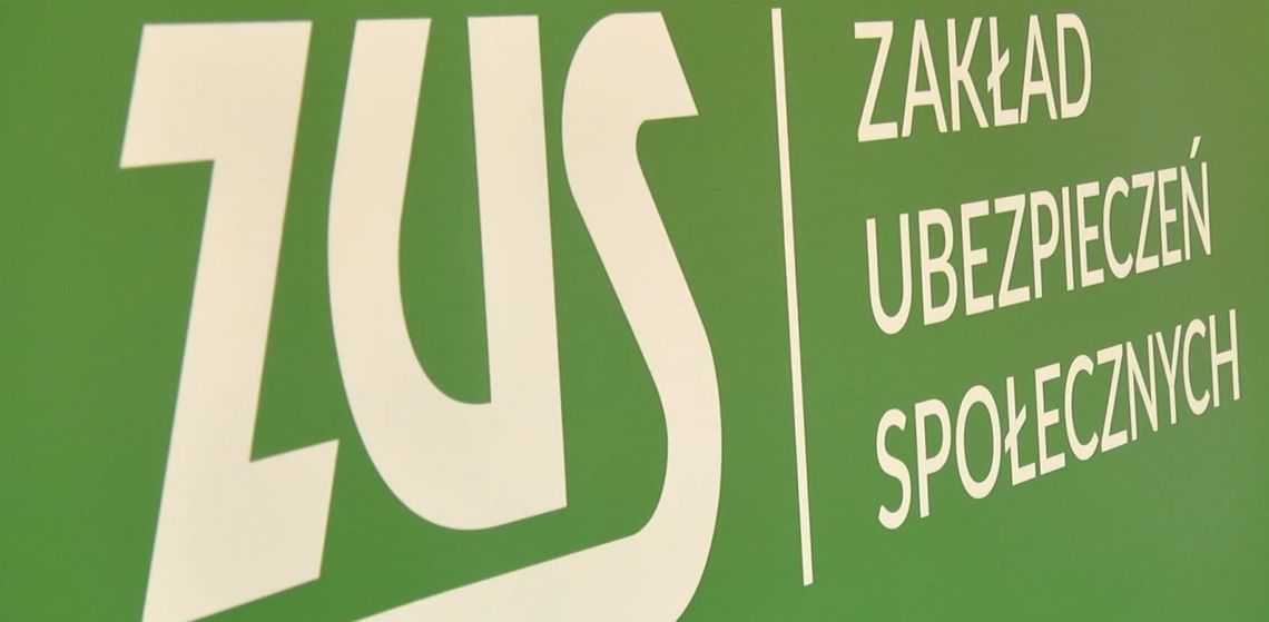 85% wolnych strzelców traktuje swoją pracę jako zajęcie dodatkowe