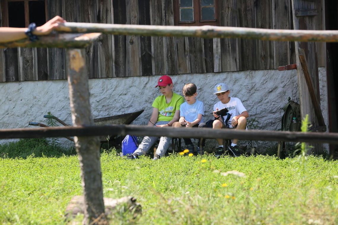 MEN: kuratorzy zatwierdzili dotąd 27,2 tys. wyjazdów i półkolonii