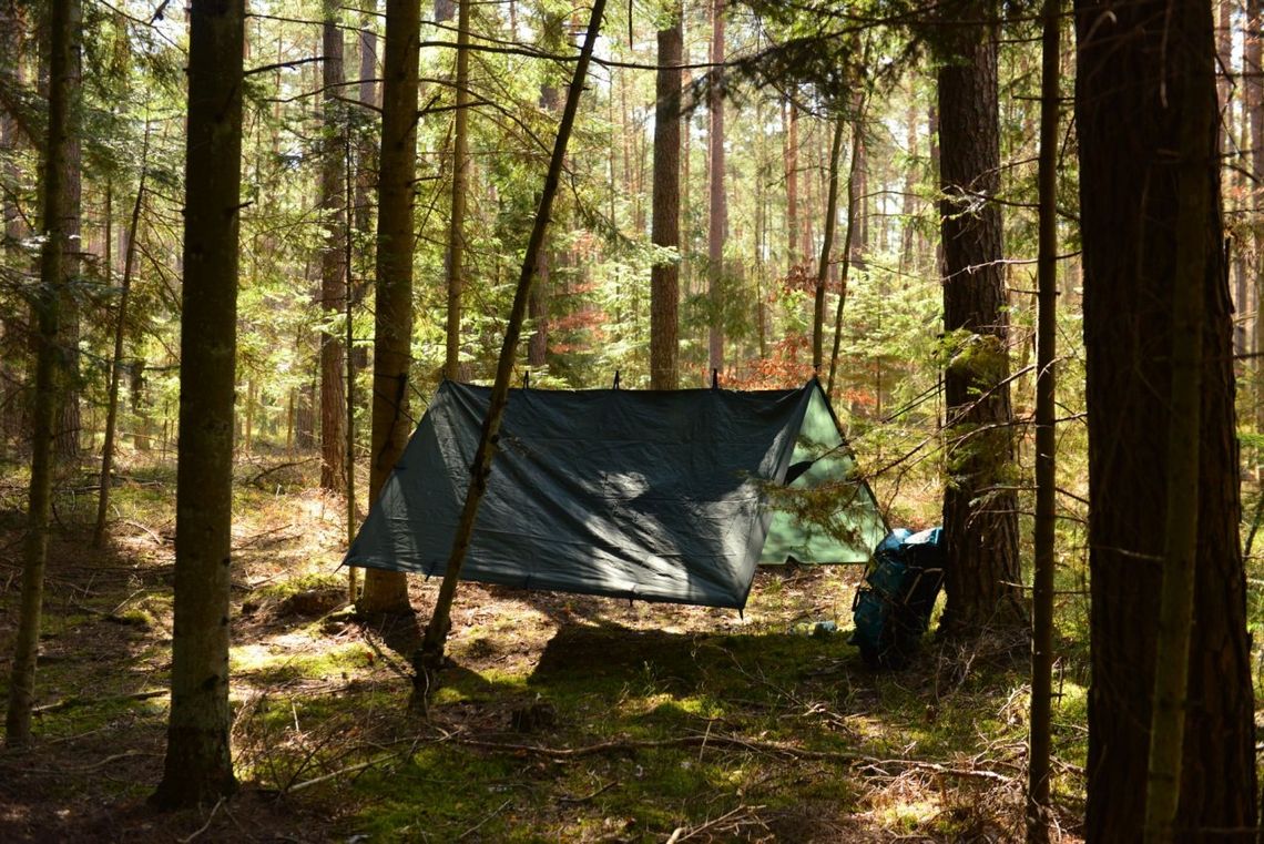 Miłośnicy surviwalu będą mogli legalnie zanocować w lesie