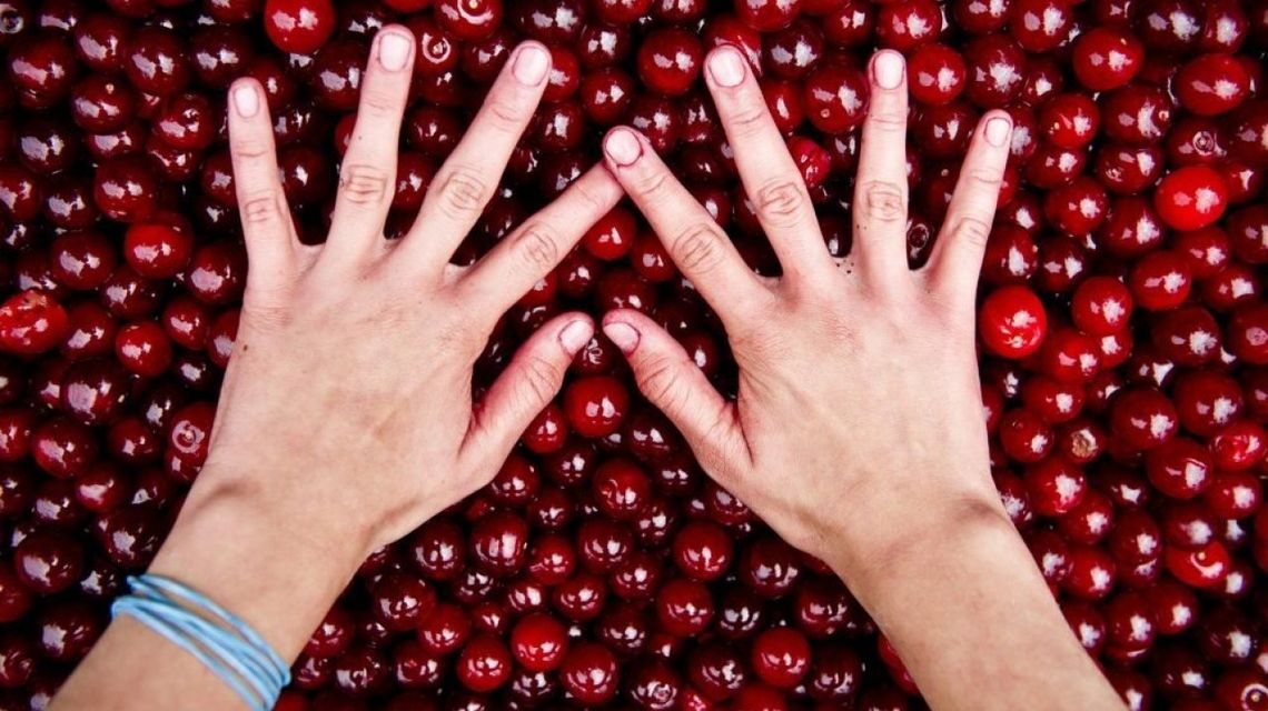 MRPiT: rusza kampania promująca bezpieczne warunki pracy sezonowej