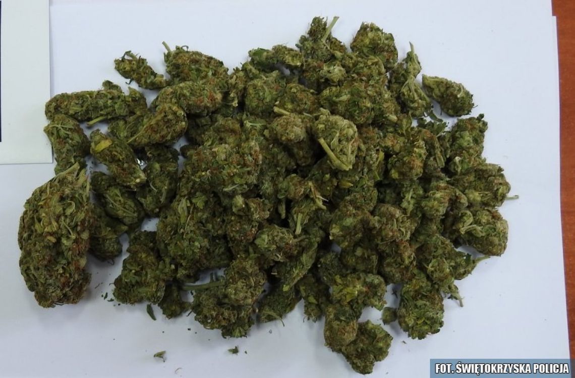 Paleta narkotyków zlikwidowana