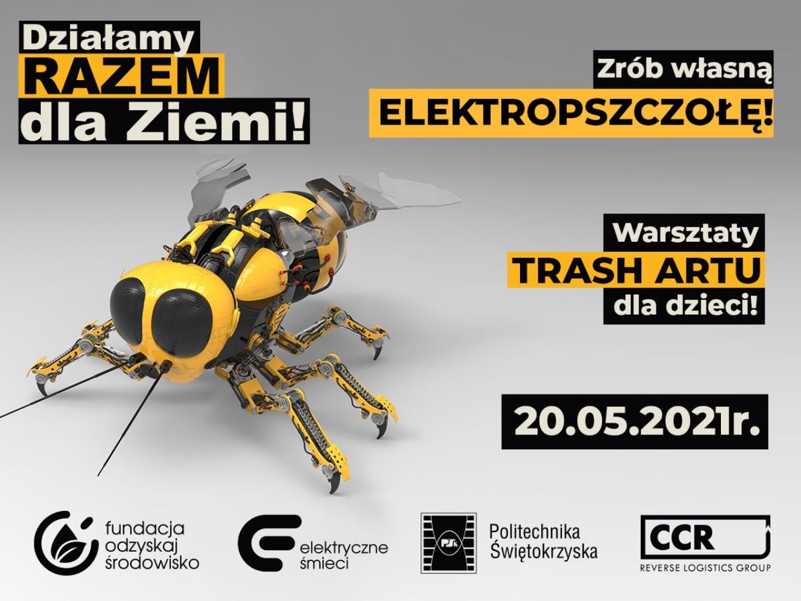 Pierwsza pasieka z recyklingu stanie na dachu Politechniki Świętokrzyskiej Pierwsza pasieka z recyklingu stanie na dachu Politechniki Świętokrzyskiej