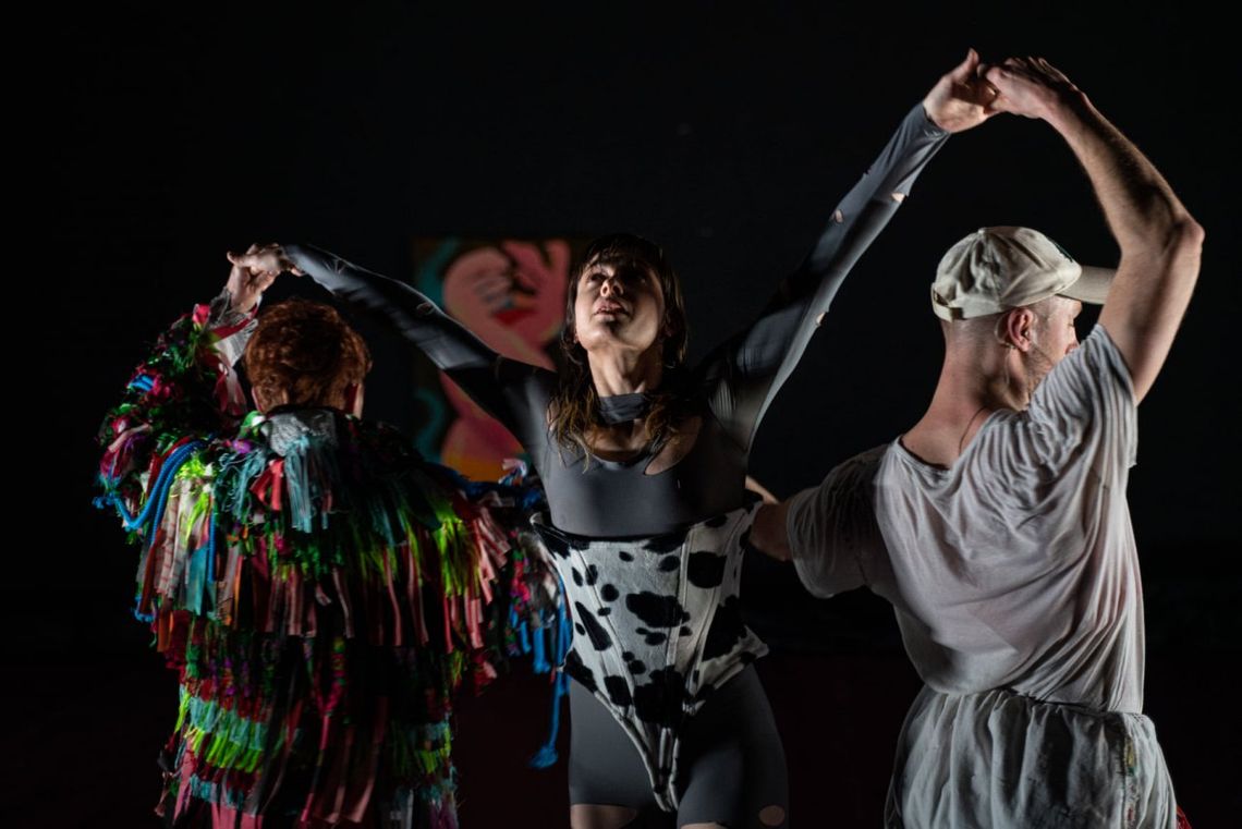 Plebiscyt Publiczności "O Dziką Różę"