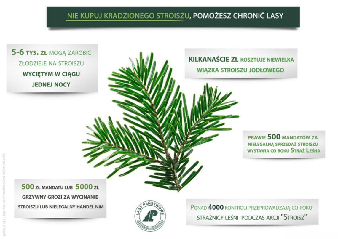 Podsumowanie akcji „Stroisz”