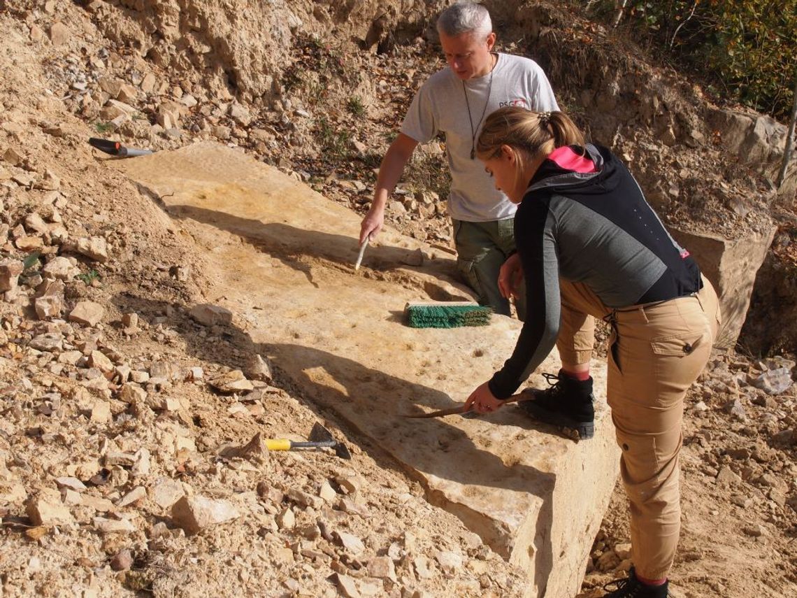 Polscy naukowcy odkryli najstarsze ślady kręgowców na lądzie