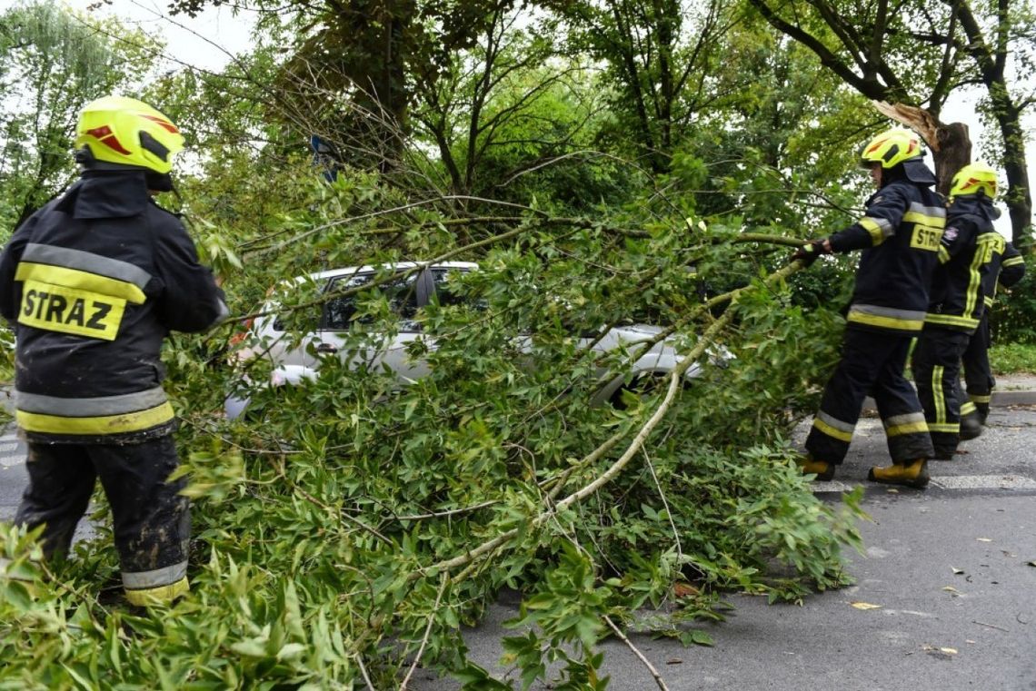 Ponad 260 interwencji straży pożarnej w związku z burzami