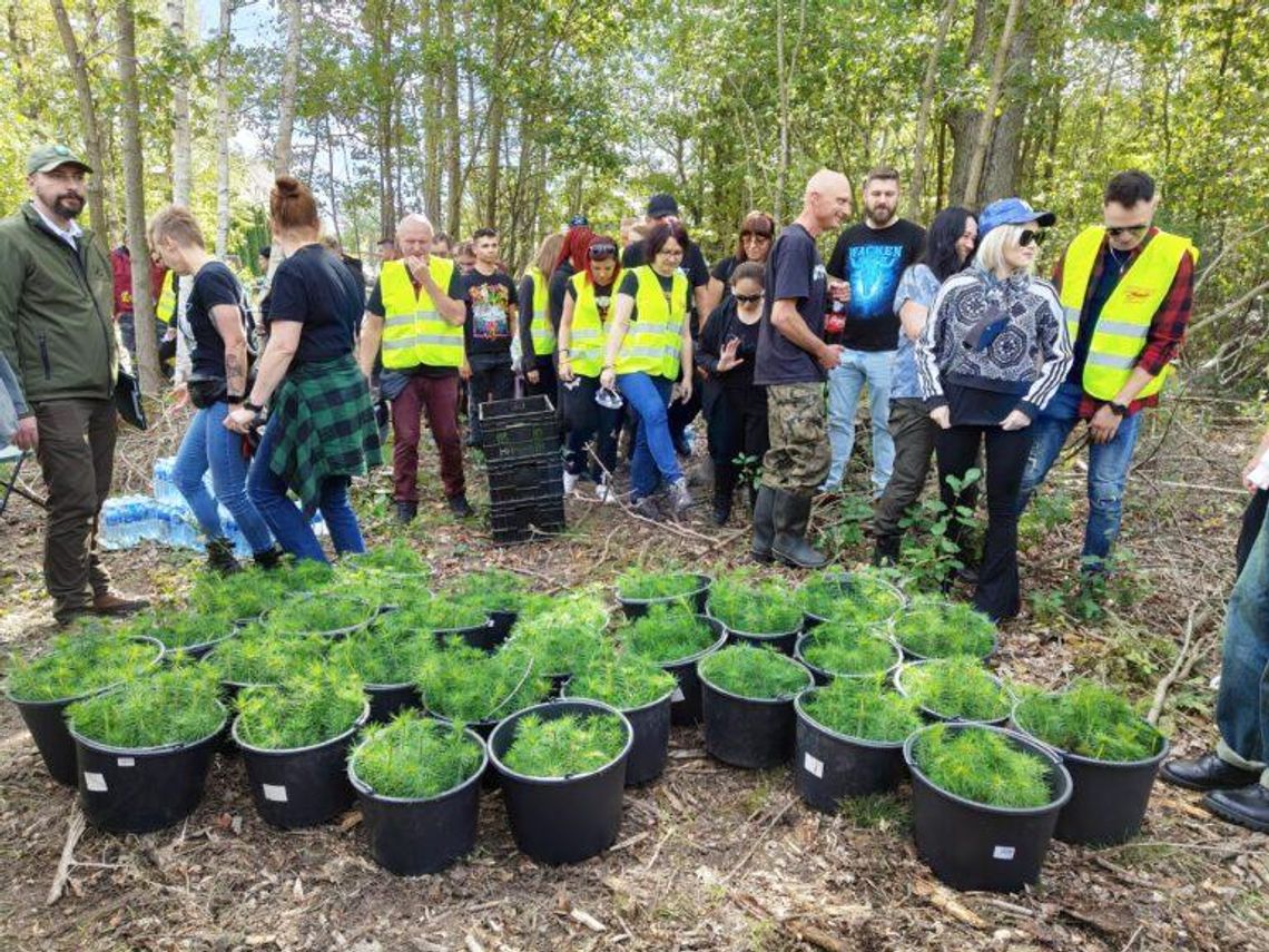 Posadzili 659 drzew na 10-lecie Posadzili 659 drzew na 10-lecie