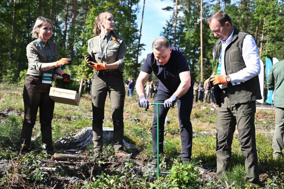 Prezydent w Suchedniowie: wszyscy wiemy, jak potrzebne są lasy; trzeba popularyzować ich sadzenie