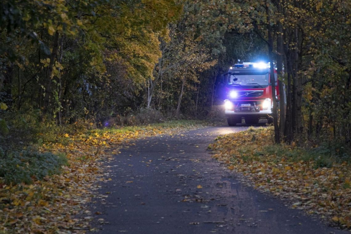 PSP: ponad 10,3 tys. interwencji strażaków w związku z silnym wiatrem; bez prądu ok. 121 tys. odbiorców