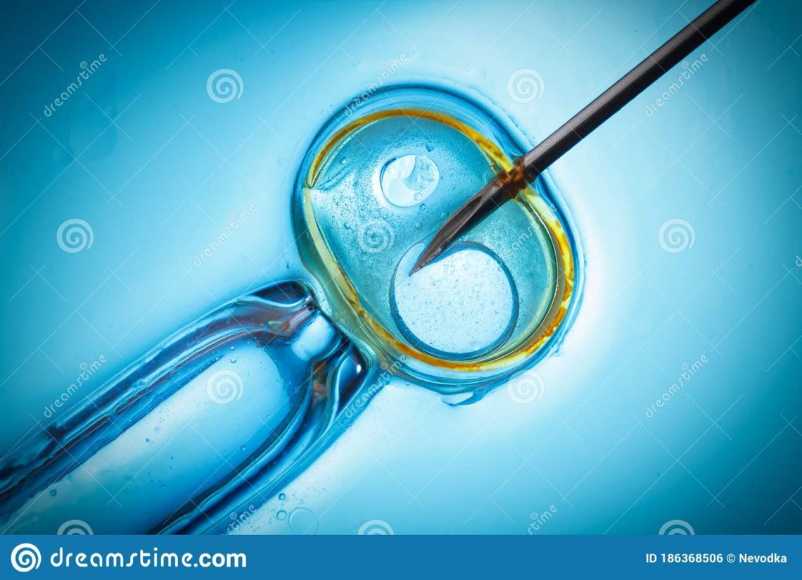  Ruszył miejski program in vitro