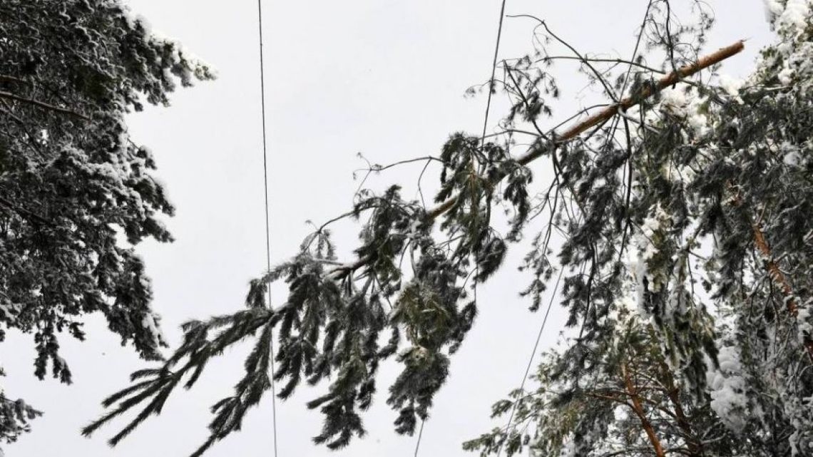 Śnieg przyczyną rozległych awarii prądu