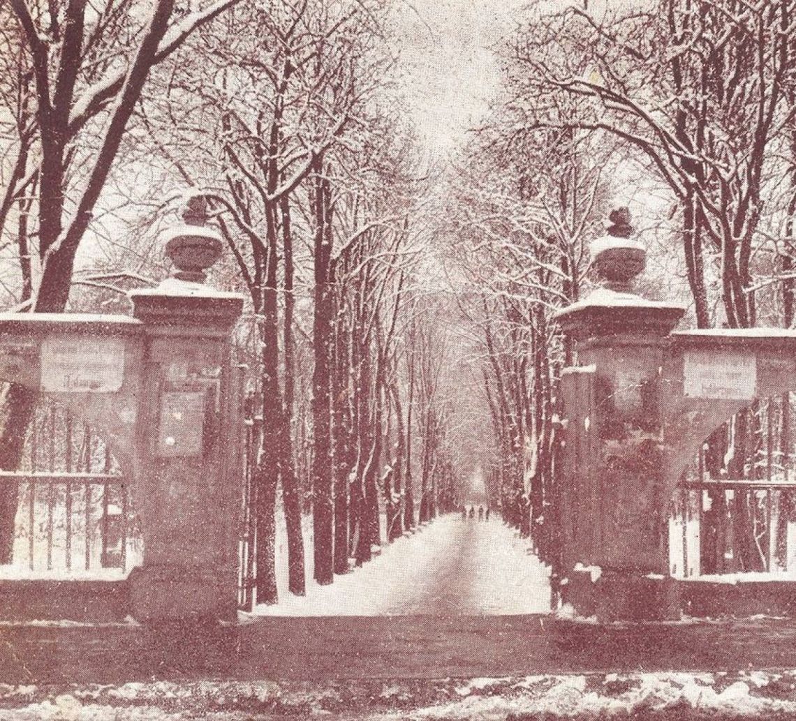 Spacer Historyczny – Zimowy park – od Sienkiewicza do Kadzielni Spacer Historyczny – Zimowy park – od Sienkiewicza do Kadzielni