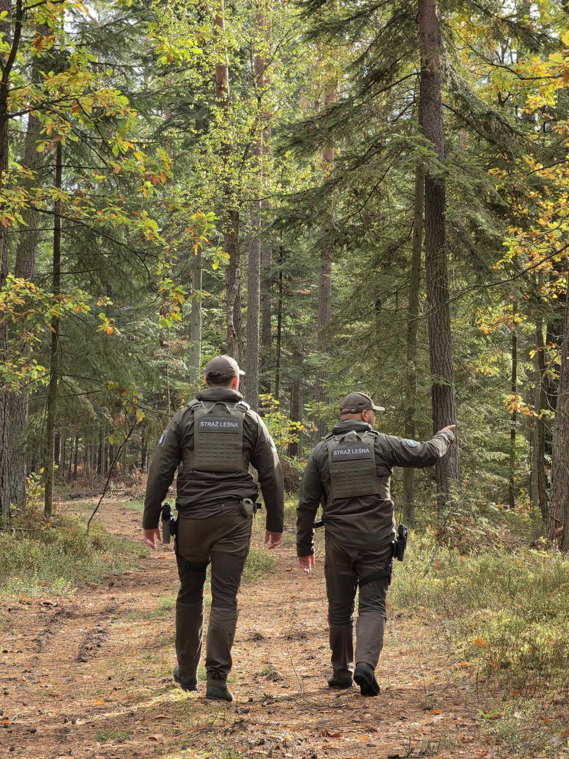 Stroisz pod kontrolą. Straż Leśna rusza z jesienną akcją Stroisz pod kontrolą. Straż Leśna rusza z jesienną akcją