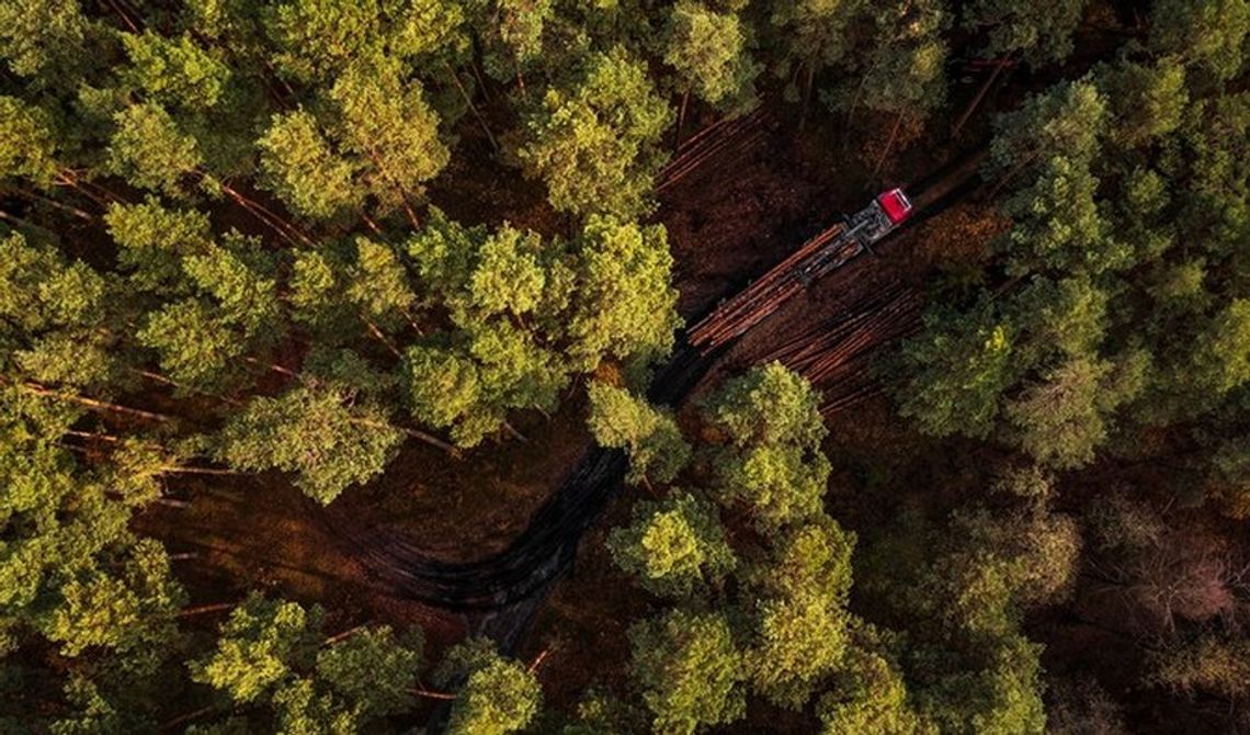 Sukces naszych leśników w konkursie „Lasy w obiektywach leśników” Sukces naszych leśników w konkursie „Lasy w obiektywach leśników”