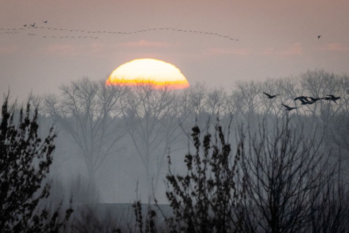 Synoptyk IGMW: pierwsze dni nowego roku rekordowo ciepłe