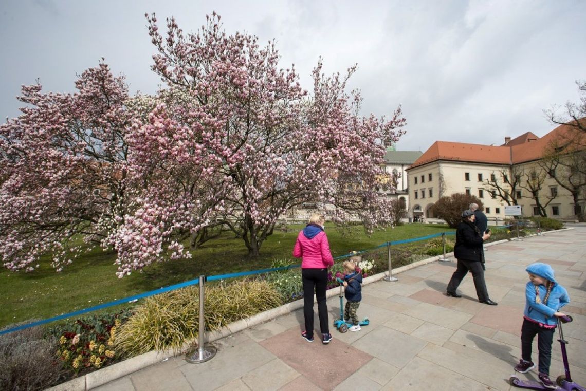 Synoptyk IMGW: chłodna środa z przelotnymi opadami deszczu