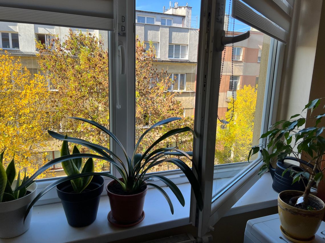 Uciekał przez okno przed policją