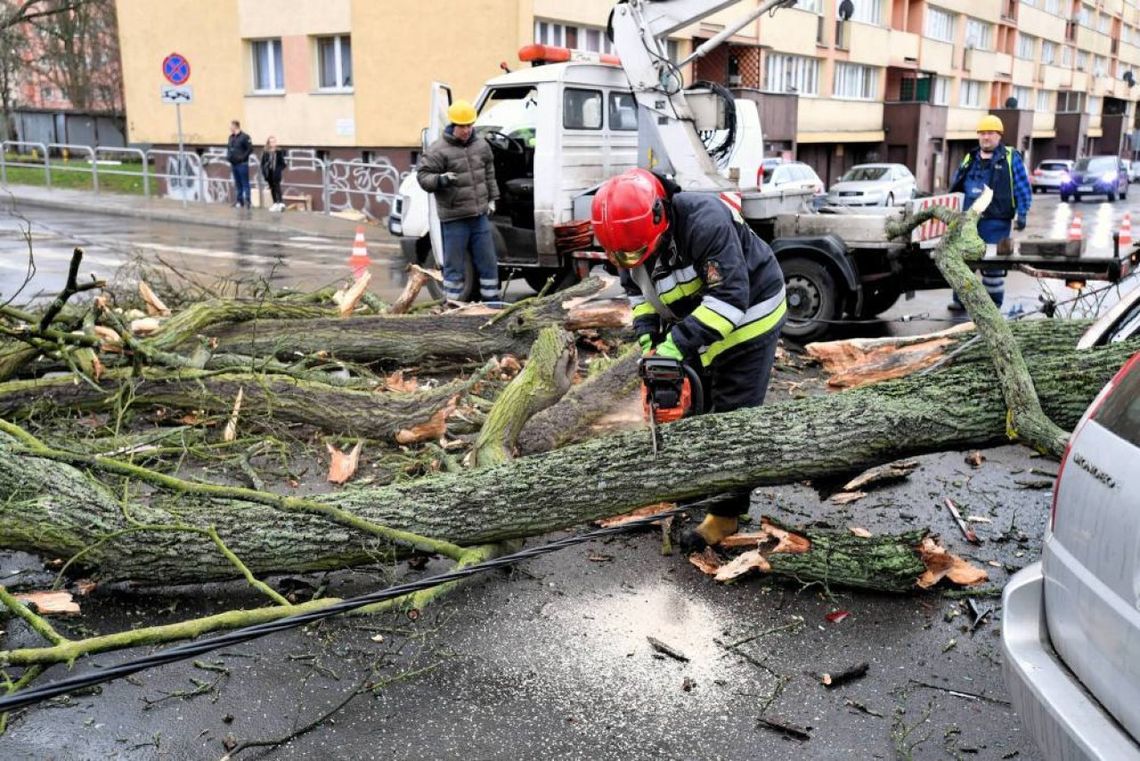 W sobotę w związku z silnym wiatrem strażacy otrzymali 3387 zgłoszeń