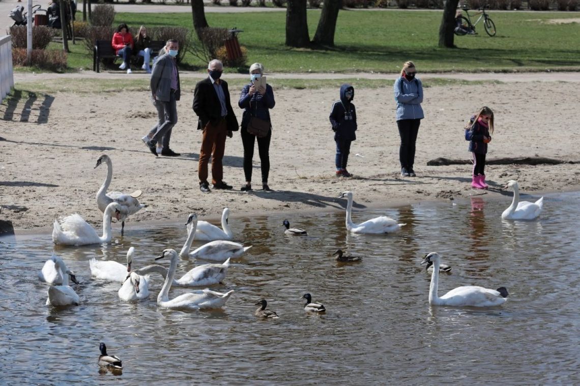 W środę ostatni dzień dobrej pogody; mimo to pojawią się burze i przelotne opady W środę ostatni dzień dobrej pogody; mimo to pojawią się burze i przelotne opady