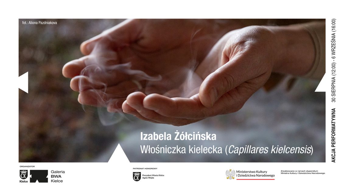 „Włośniczka kielecka” - akcja performatywna Izabeli Żółcińskiej „Włośniczka kielecka” - akcja performatywna Izabeli Żółcińskiej