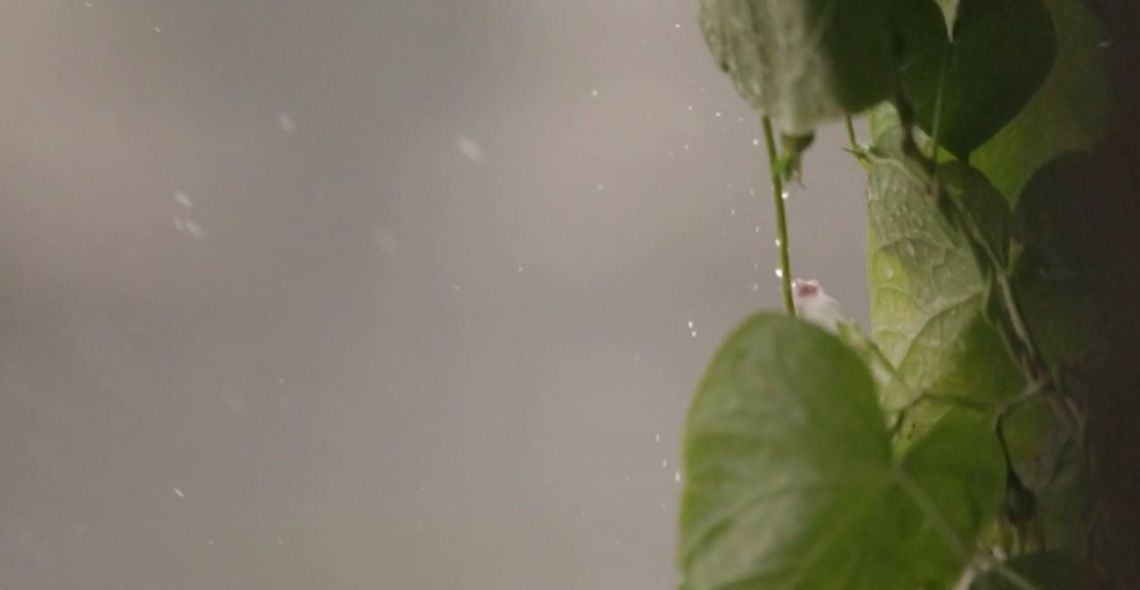 Wnioski o dotacje na zbiorniki małej retencji - zmiana terminu Wnioski o dotacje na zbiorniki małej retencji - zmiana terminu